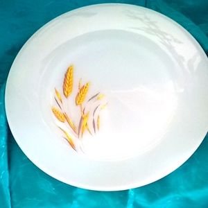 1 Fire King plate....oven proof